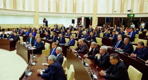 Сенат не одобрил поправки в законы по электроэнергетике