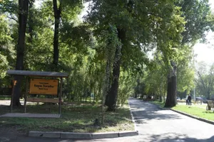 Алматыдағы Баум рощасында мыңнан астам жаңа ағаш отырғызылады