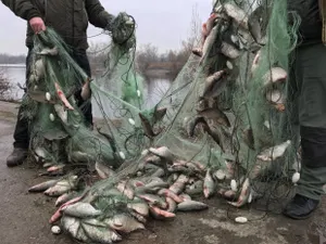 Более 160 килограммов незаконно выловленной рыбы изъяли в Костанайской области