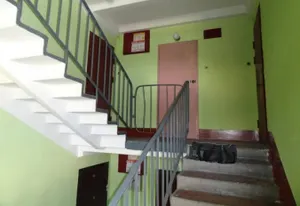 Сумку с опасным содержимым обнаружила пенсионерка в Павлодаре