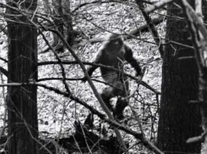 Российский снежный человек сбежал в Казахстан