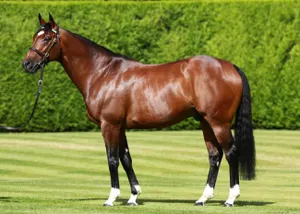 Элитного скакуна похитили в Алматинской области