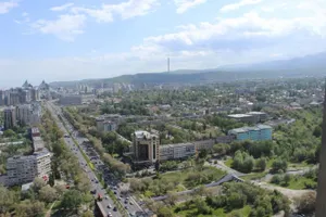 Сколько земли в Алматы принадлежит иностранцам?