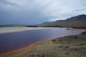 Манғыстау облысындағы «Қошқар-Ата» аумағында миллион сексеуіл отырғызылады