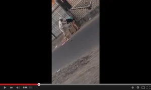 В ЮКО прохожие наблюдали за жестоким избиением девушки [ВИДЕО]