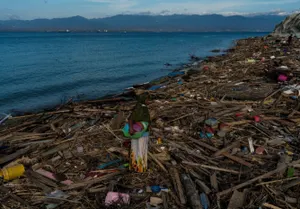 Число погибших в Индонезии выросло до 222 человек