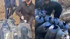 Павлодар облысында есірткіні ірі тарату арнасы жойылды