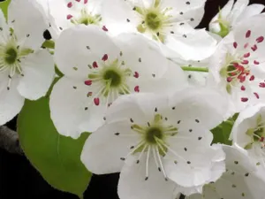 В марте казахстанцы получат четыре дополнительных дня отдыхаЭксклюзив