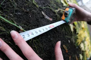 Определены сроки и процедуры аренды земель сельхозназначения