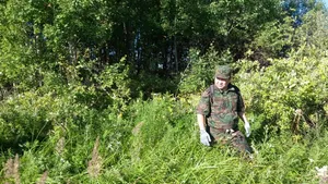 В СКО пропал шестилетний гражданин РФ