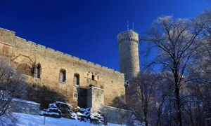 День независимости Эстонии и день флага Мексики