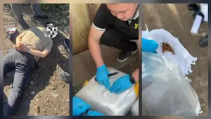 Экибастуз полициясы 60 кг-нан астам есірткіні анықтап, тартып алды