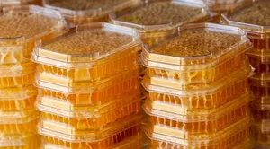 Расширить экспорт в Саудовскую Аравию смогут производители Казахстана