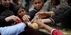 В ближайшие два года на Земле умрет от голода миллиард людей — фейк