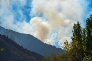 Новые подробности пожара в Иле-Алатауском нацпаркеЭксклюзив