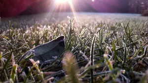 Заморозки ожидаются на большей территории Казахстана