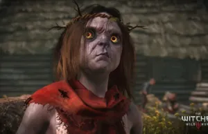 В Сеть утекла карта мира The Witcher 3