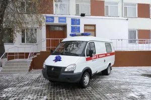 В Павлодаре снизилось число суицидов среди несовершеннолетних