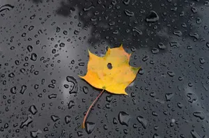 На большей части Казахстана ожидаются грозовые дождиЭксклюзив