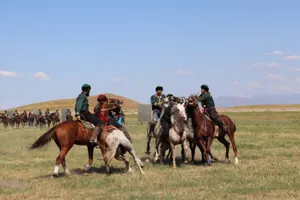 Кокпар на 200 человек устроили жители Туркестанской области