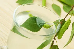 Народные приметы: время собирать березовый сок