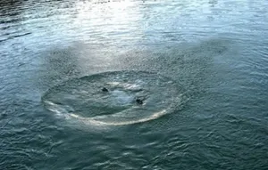 Двое мужчин утонули, пытаясь спасти девочку-подростка в ЗКО