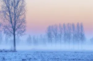 Туманная погода ожидается на западе Казахстана