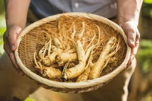 Назван полезный для крови продукт