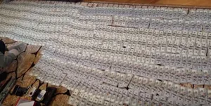 Стали известны подробности спецоперации на таможне