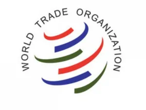 Эксперт: ВТО расширит механизмы влияния ЕАЭС
