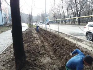 Алматинцы возмущены «несанкционированным» водопроводом