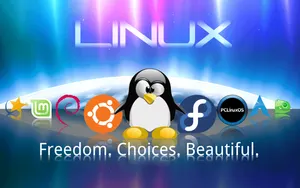 Linux как бесплатная альтернатива Windows XP