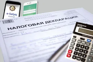 Табыс және мүлік туралы декларация: 2025 жылы талаптар кімдерге қатысты