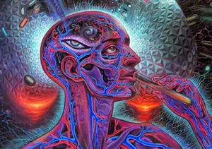 Набор наркотиков нашли в сумке древнего шамана