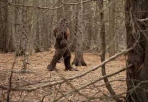 В Казахстане есть люди, которые подкармливают йети