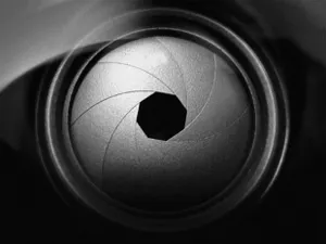 Четыре кита фотографии