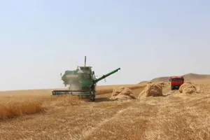 В МСХ РК ожидают высокий урожай