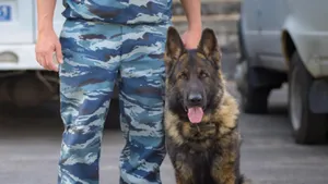 Педофила при помощи служебной собаки задержали в Петербурге