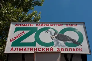 Спецназ взял шефство над тиграми в Алматинском зоопарке