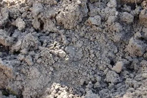 Уголовное дело завела полиция после гибели рабочих в Шымкенте