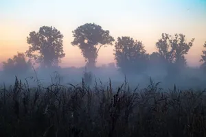 Гололед и туман ожидаются на севере и востоке Казахстана