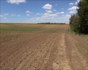 Назарбаев признал недоработки в Земельном кодексе