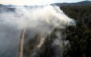 Дым от лесных пожаров в Сибири достиг США и Канады