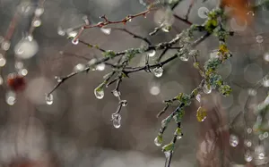 В Нур-Султане потеплеет