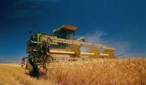 Зарплаты сферы сельского хозяйства ниже на 40% ‒ аналитика