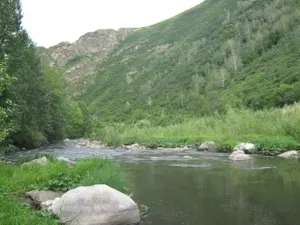 Казахстан и Узбекистан спорят за отпускаемую Кыргызстаном воду