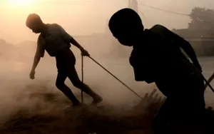 За детский и принудительный труд будут наказывать в Узбекистане