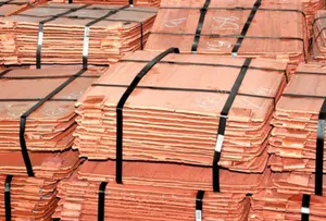 Балқаш тұрғындары 135 миллион теңгенің катодты мысын ұрлады