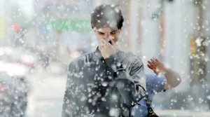 Тополиный пух может стать переносчиком коронавируса