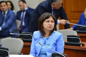 Гражданское общество опережает своей активностью госорганы – депутаты